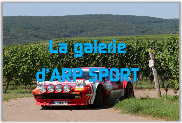 galerie arp sport